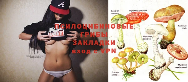 амфетамин Алексеевка